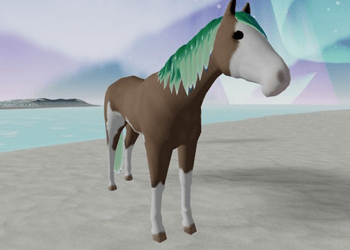 IUH Buckskin Sabino Paint